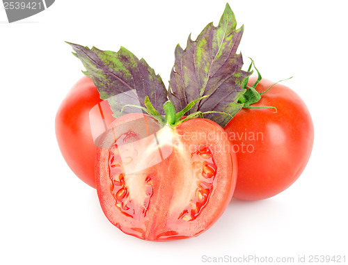 Image of Tomato and basil