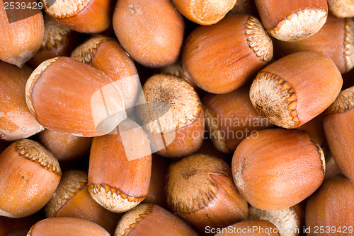 Image of Background nuts