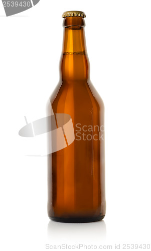 Image of Beer in a brown bottle