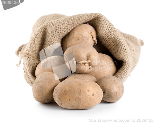 Image of Raw potatoes in a hessian sack isolated