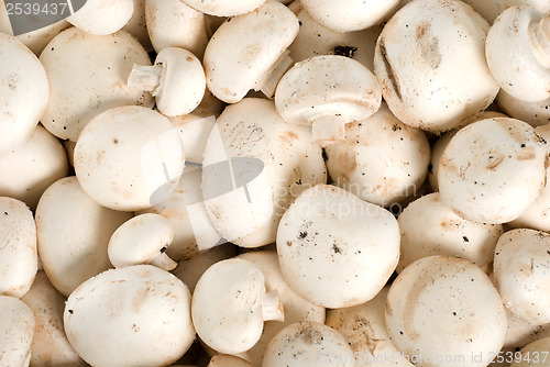 Image of Background from the raw mushrooms
