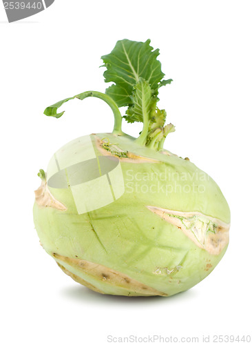 Image of Kohlrabi isolated