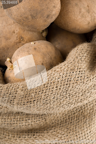 Image of Potatoes in a bag