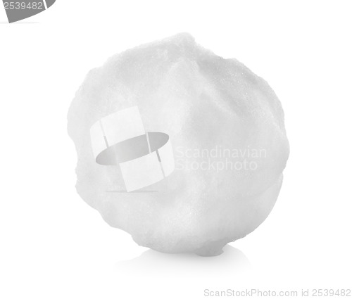 Image of Snowball