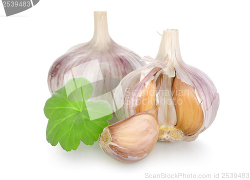 Image of Raw garlic isolated 