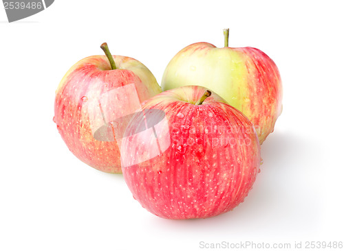 Image of Three ripe apples isolated