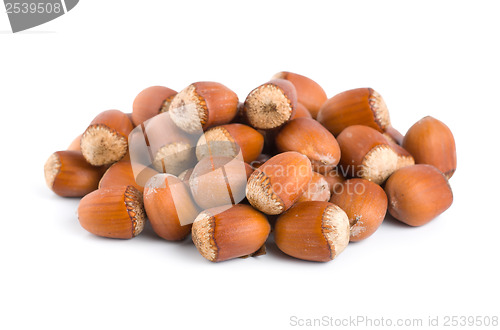 Image of Nuts on white background