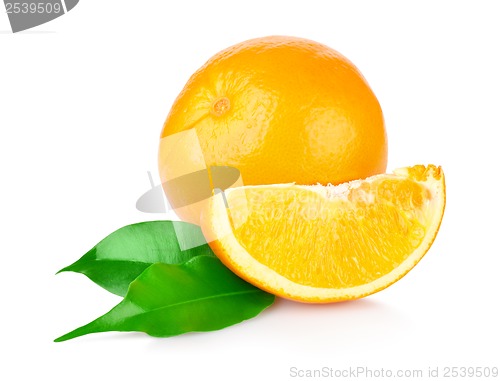 Image of Ripe oranges