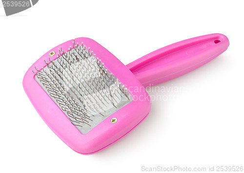Image of Purple comb