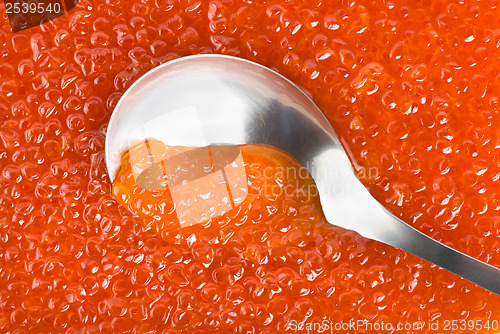 Image of Spoon into red caviar