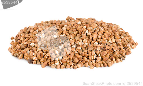 Image of Buckwheat isolated