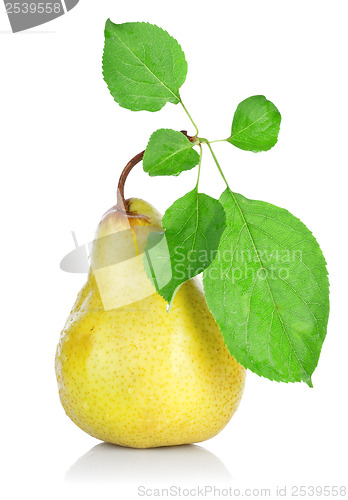 Image of Pear with Leafs