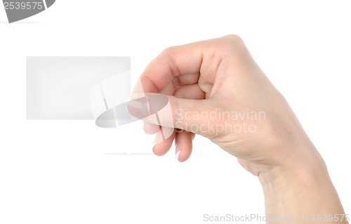 Image of Card blank in a hand