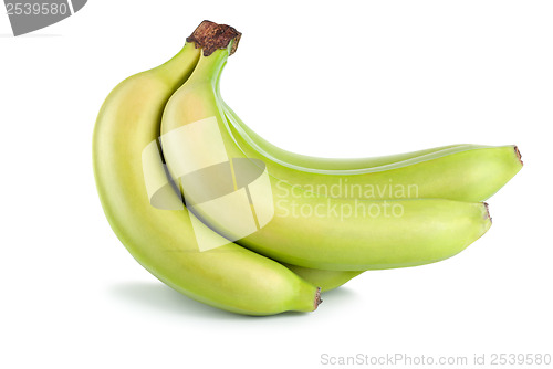 Image of Green bananas