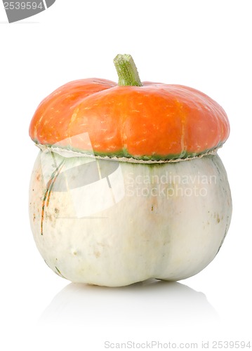 Image of Ripe pumpkin