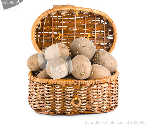 Image of Raw potatoes in a basket