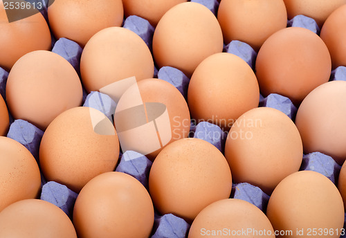 Image of Tray of eggs in cardboard packing