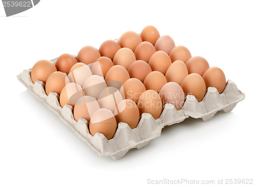Image of Eggs in a carton