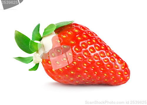 Image of Strawberries with green leaves