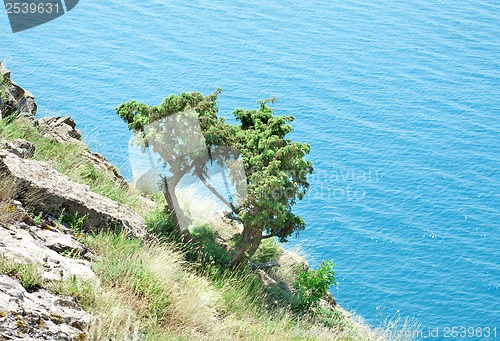 Image of Hill and sea