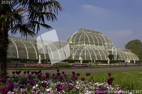 Image of Palm house kew gardens London uk