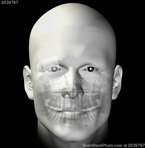 Image of adult male dental scan