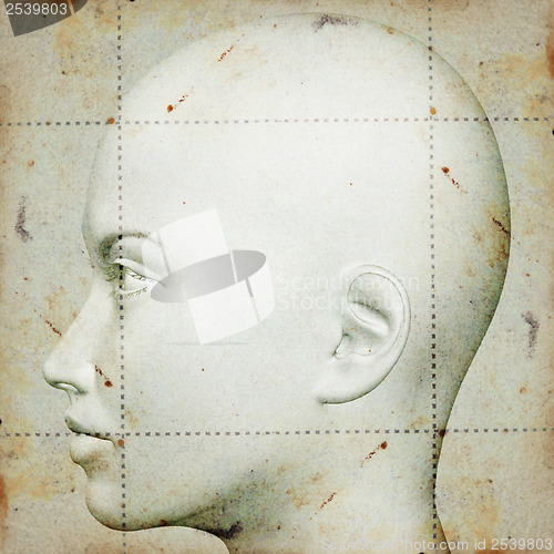 Image of head sketch on stained paper