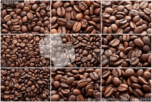 Image of Coffee beans