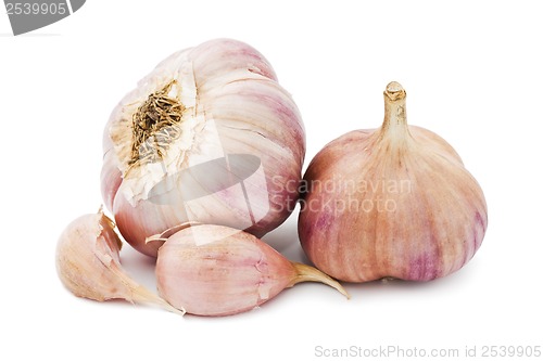 Image of Garlic