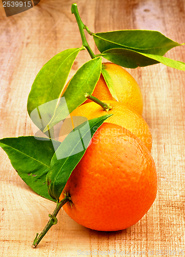 Image of Tangerines