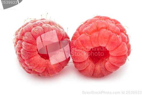 Image of Fresh raspberries