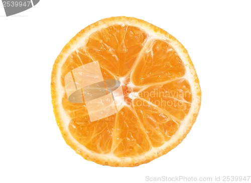Image of Tangerine