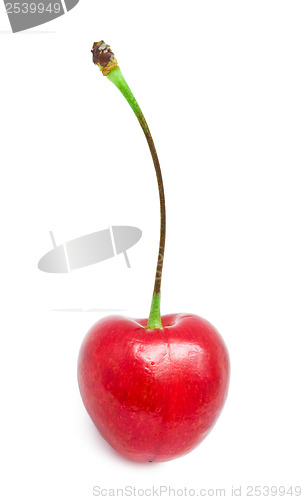 Image of Red cherry