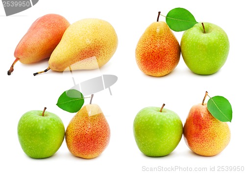 Image of Pears