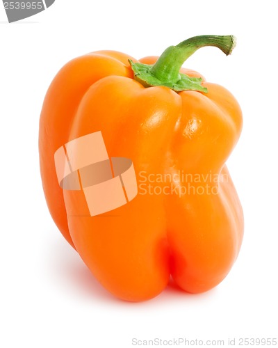 Image of Bell pepper