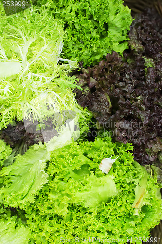Image of Lettuce salad in a shop