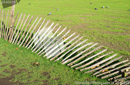 Image of Green grass and fallen fence