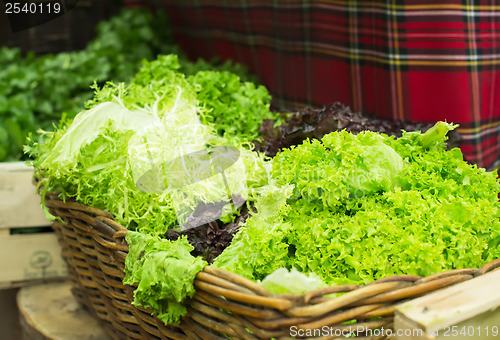 Image of Lettuce salad in a shop