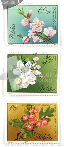 Image of Tree blossom collectible post stamps