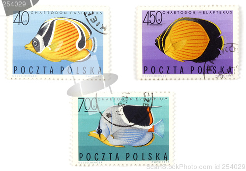 Image of Postal stamps - set with fish