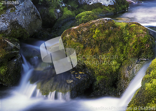 Image of Mountain stream