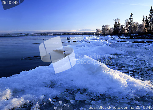 Image of Winter Landscape