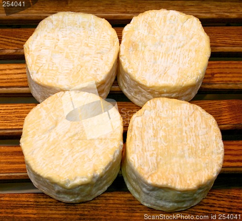 Image of Goat cheese