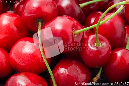 Image of Red cherry