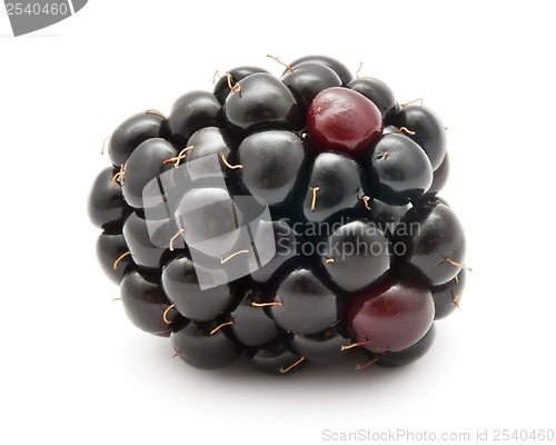 Image of Blackberry