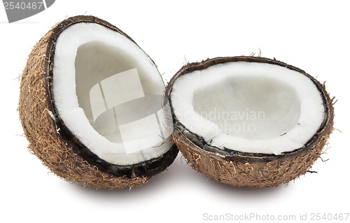 Image of Coconut