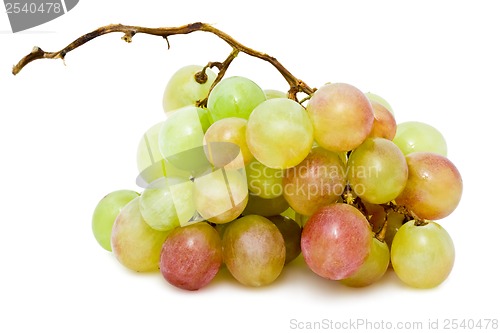 Image of Grapes