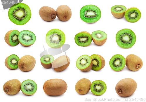 Image of Kiwi