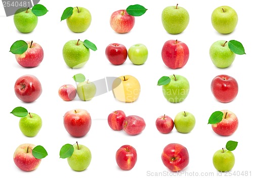Image of Apples