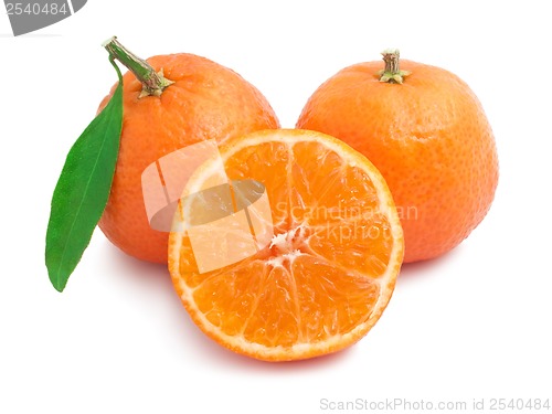 Image of Tangerines